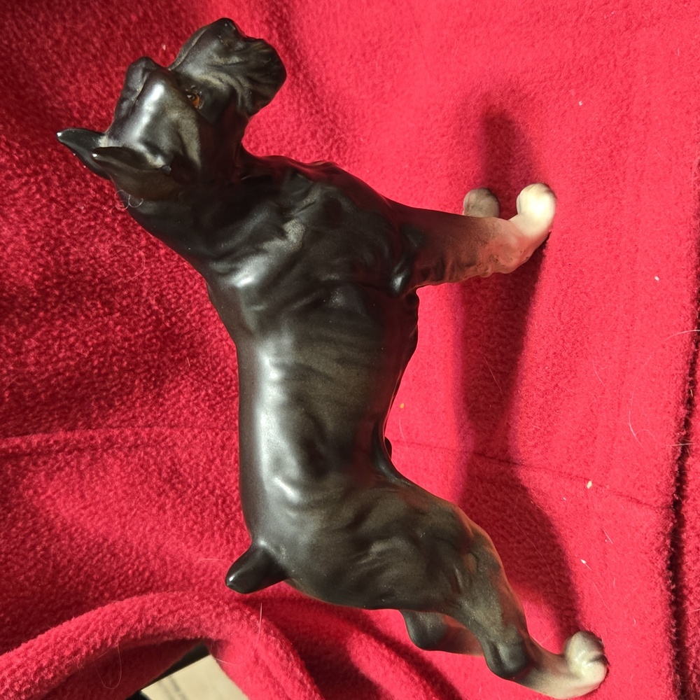 Black and Tan Dog # HT ??? Possible MORTENS Schnauzer
